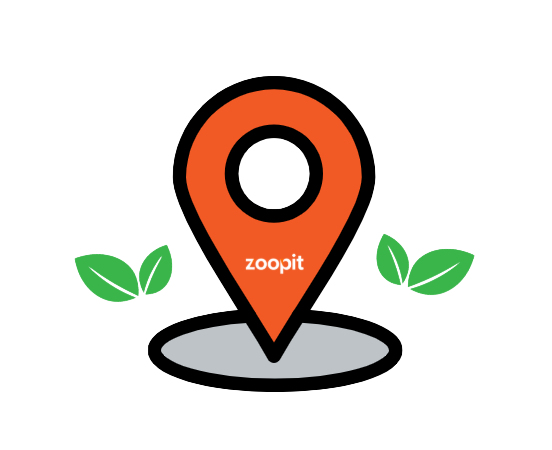 rute zoopit